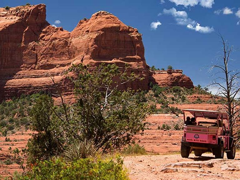 Excursies | WRC Reizen