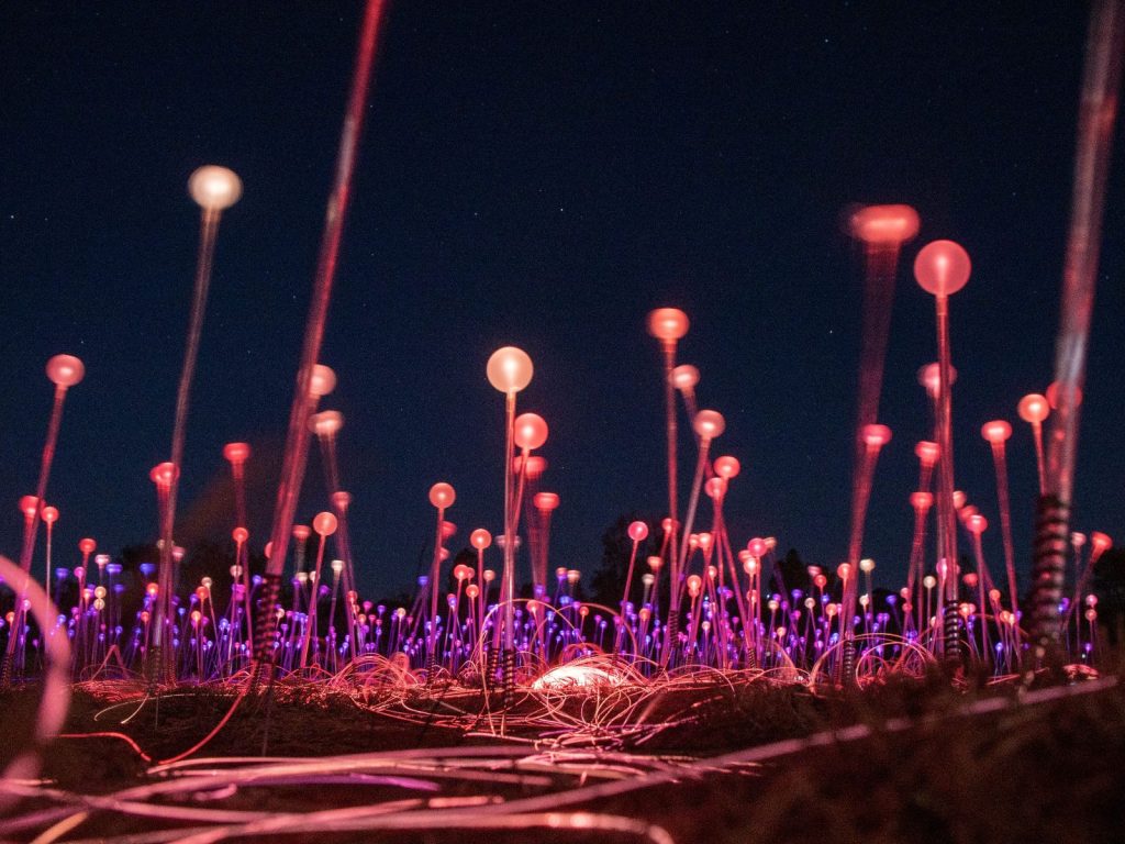 Excursies | WRC Reizen