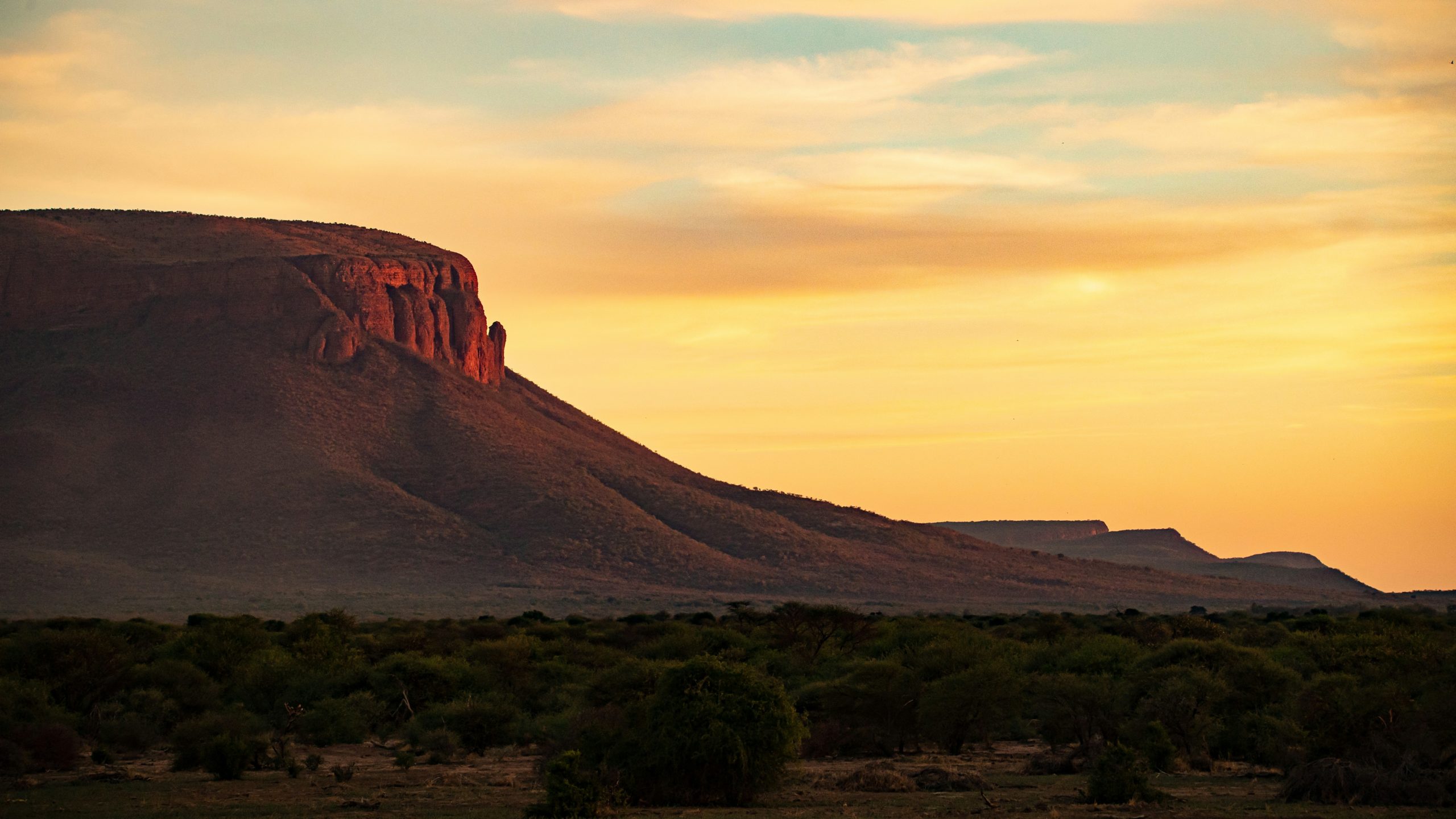 Marakele National Park Zuid Afrika