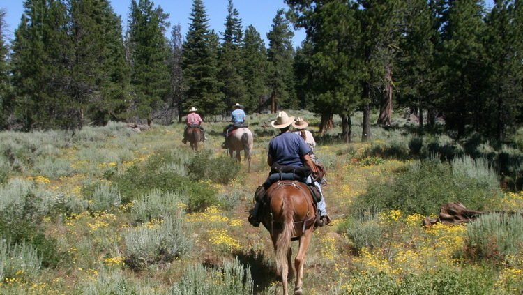horseback-riding canada Whistler