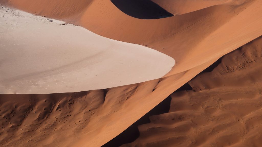 Excursies | WRC Reizen