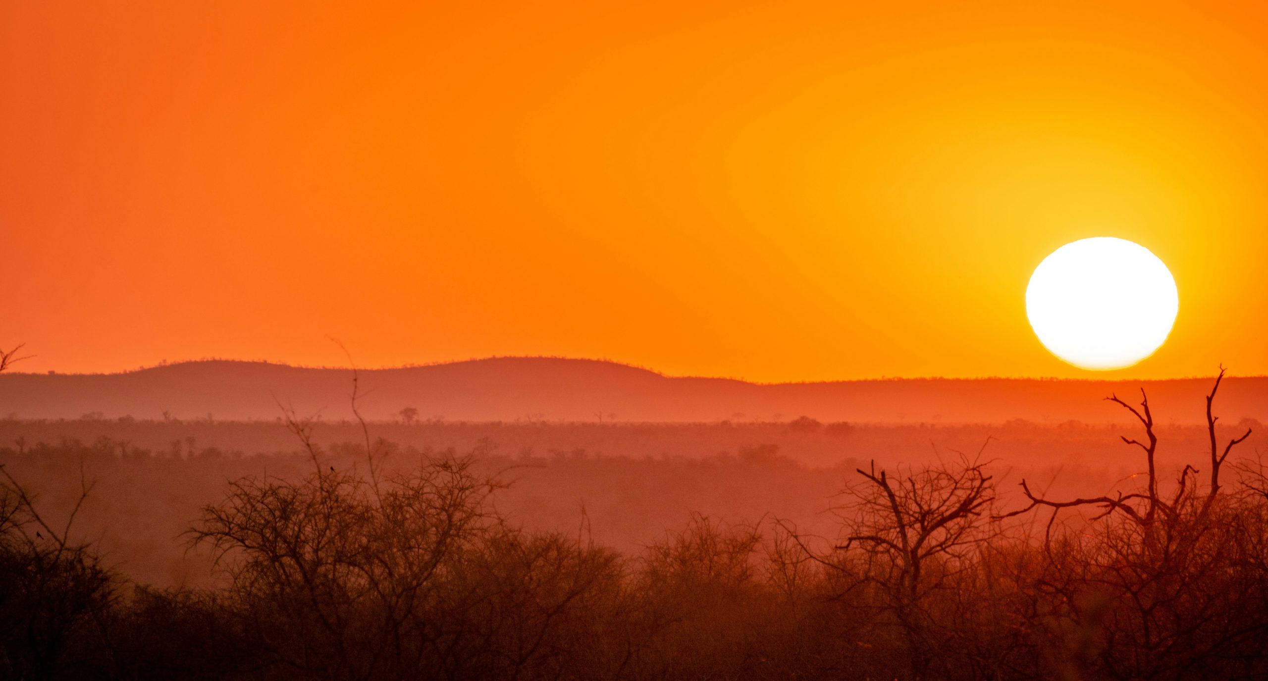 Kruger National Park zonsondergang Zuid-Afrika