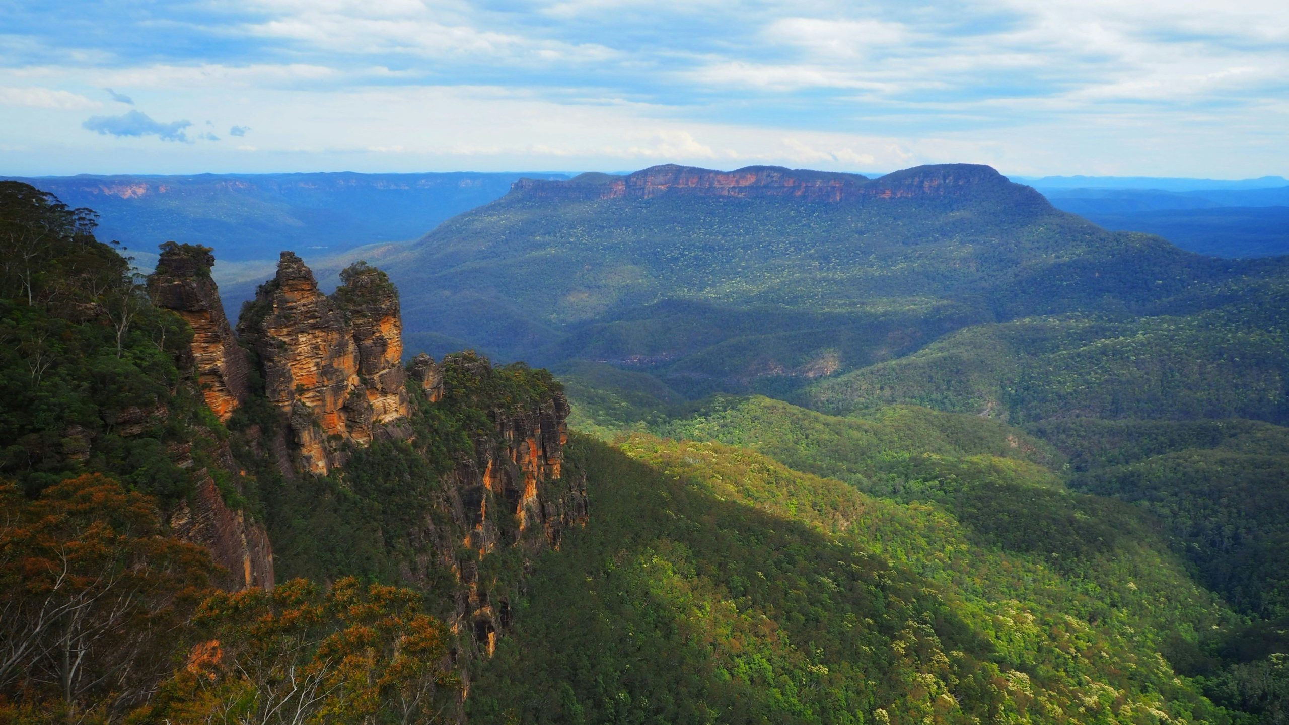 Blue mountains Australië