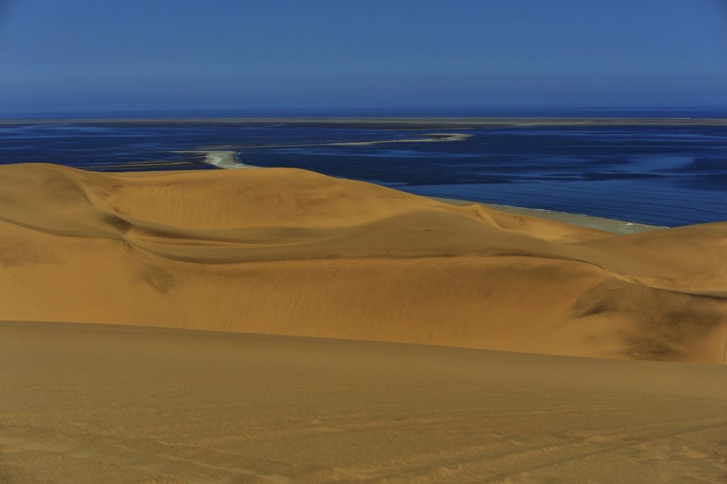 Excursies | WRC Reizen