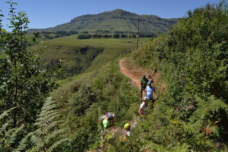 Excursies | WRC Reizen