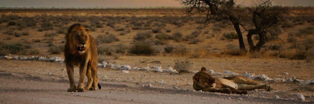 Namibië