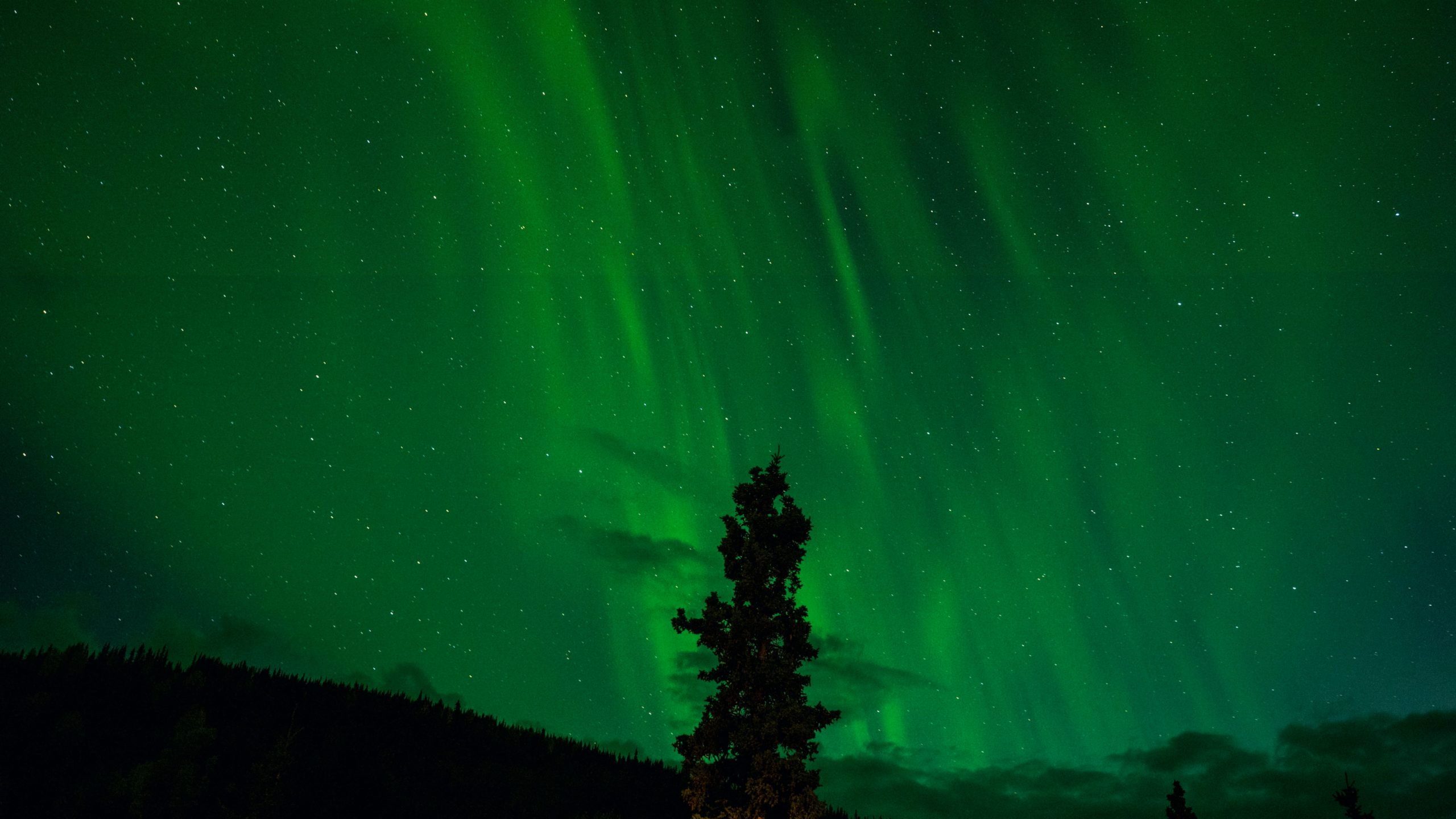 Denali National Park, Alaska, USA noorderlicht