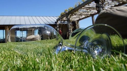 wineglass Napier