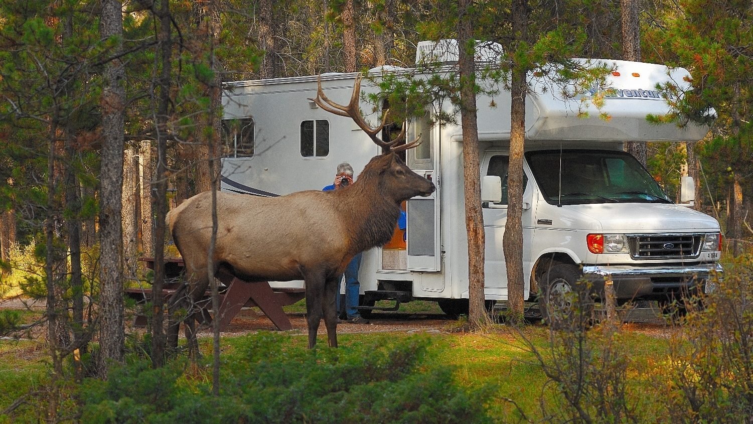 camper-hert-canada