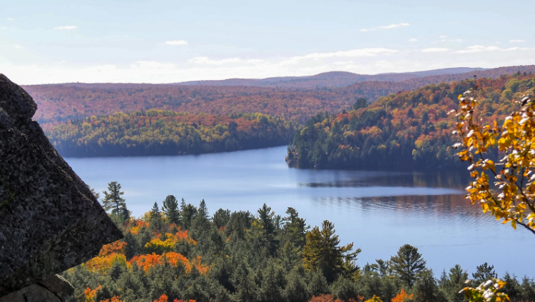 Canada bezienswaardigheden: Algonquin National Park
