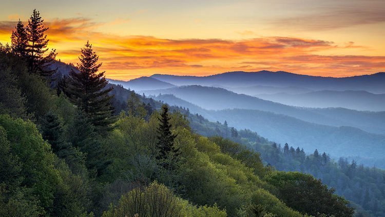 Great Smoky Mountains National Park, Tennessee, USA - nationale parken Amerika reserveren