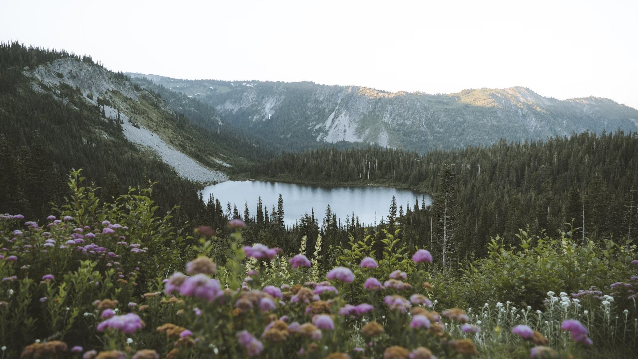 Mount-Rainier-lake Amerika