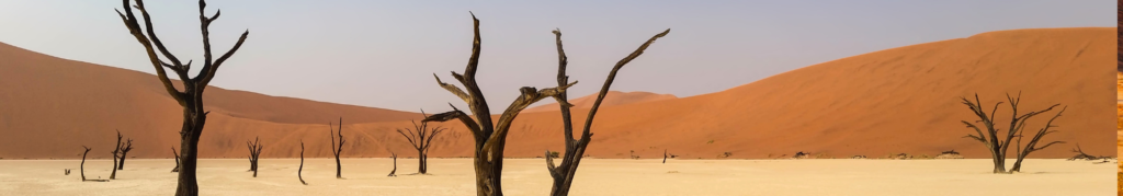 Woestijn in Namibië