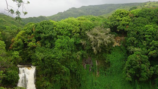 USA Hawaii Maui - Haleakala Falls - nationale parken Amerika reserveren