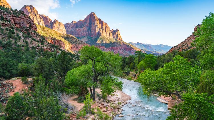 Glamping vs Camping: Zion National Park in Amerika