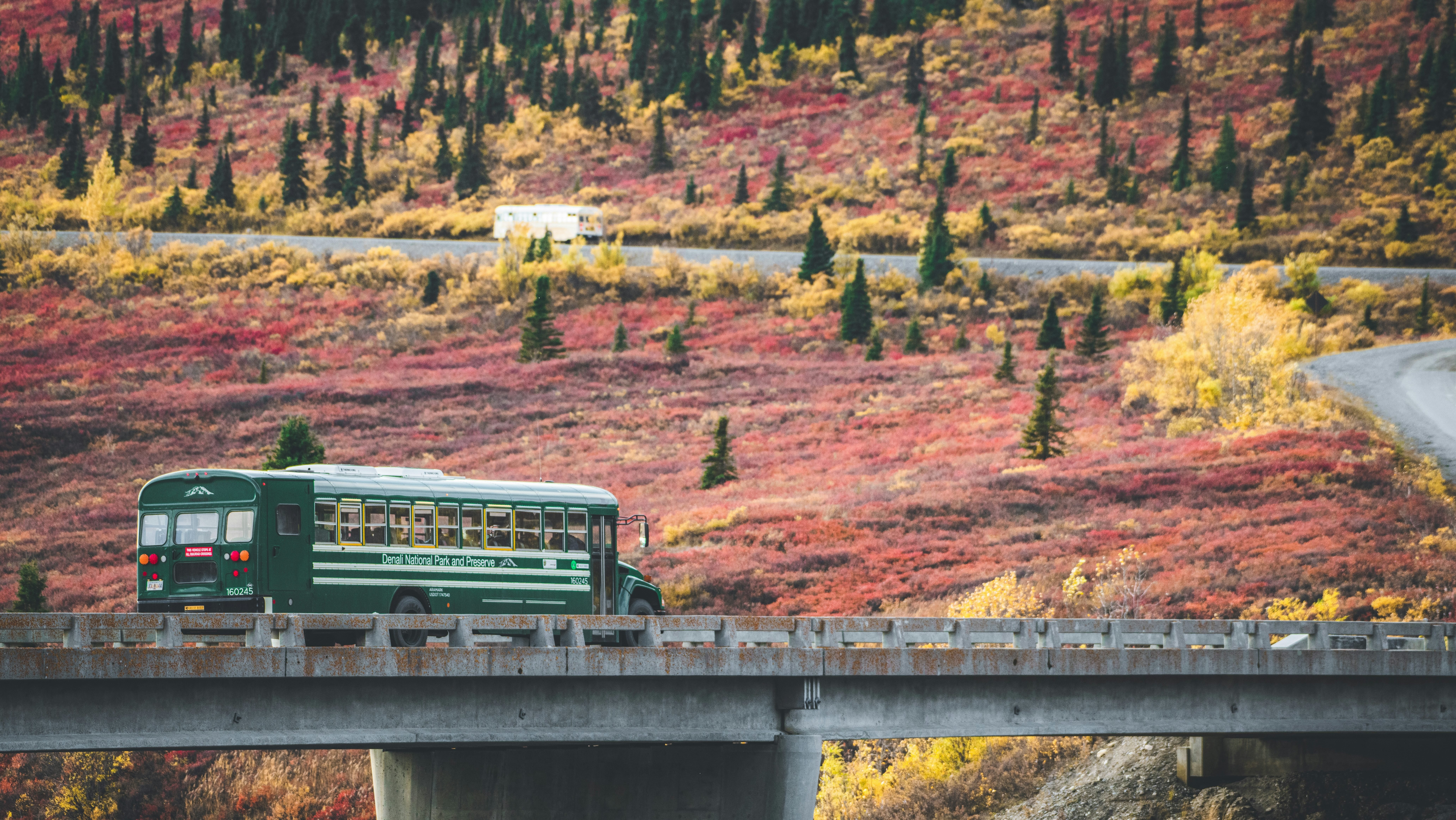 Denali National Park bus bij de Savage River (mile 15) in Alaska, USA