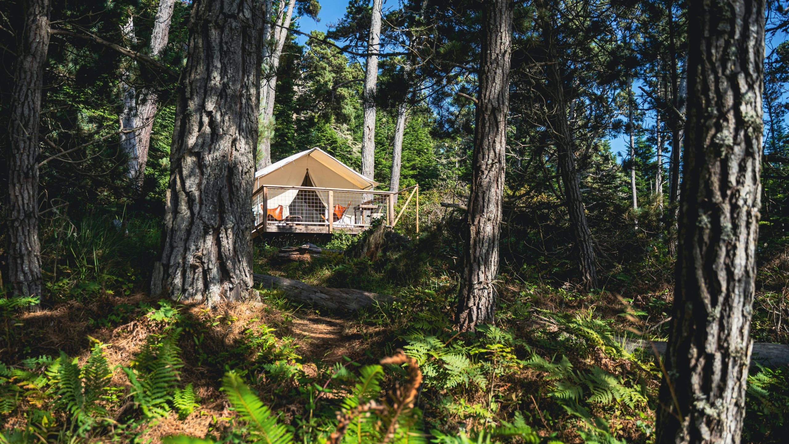 Glamping Amerika - luxe ingerichte tent in de natuur