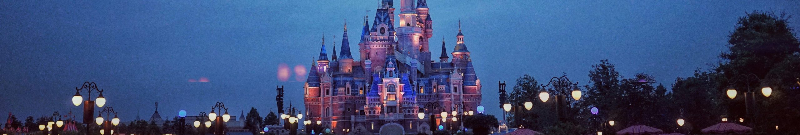 Florida met kinderen - Disney World