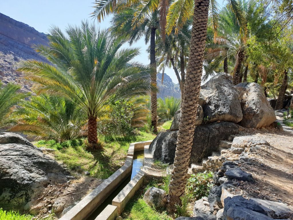 Hoogtepunten | WRC Reizen