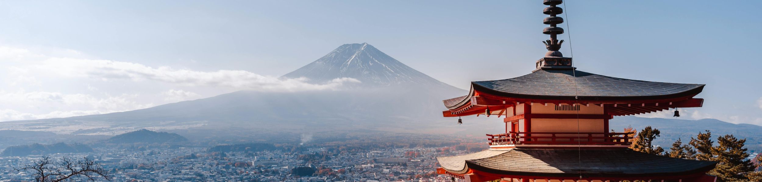 Rondreis Japan, Hakone, Mount Fuji, Banner