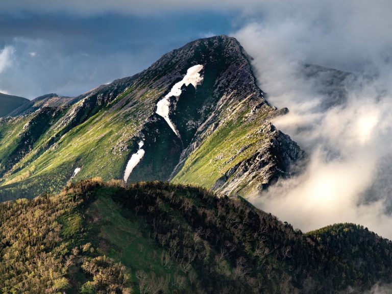 Hoogtepunten | WRC Reizen