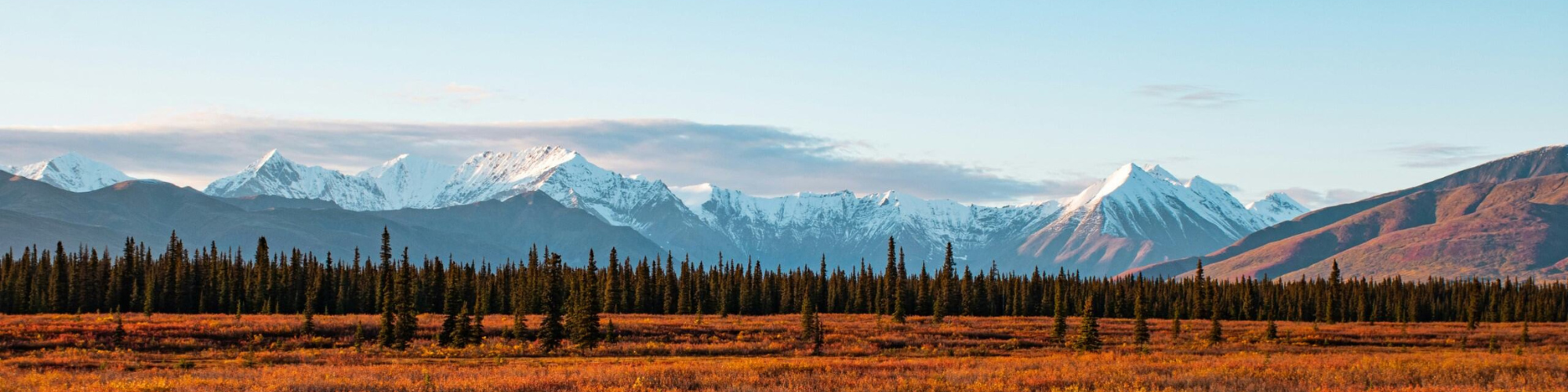 Amerika, Alaska Denali National Park Banner