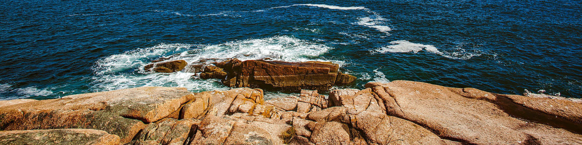 Amerika, Bar Harbor Banner