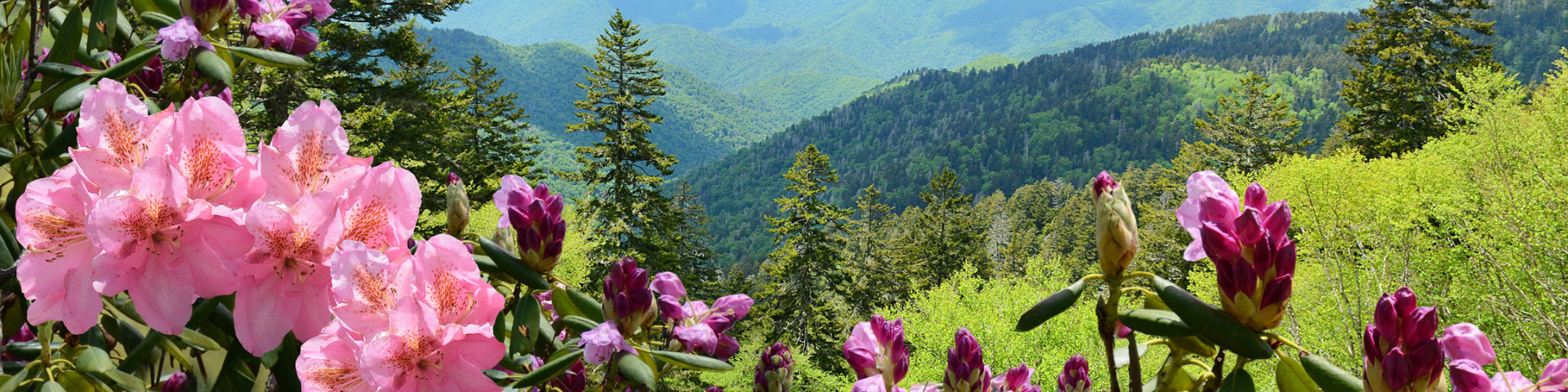 Amerika, Deep South & Texas Blue Ridge Parkway Banner