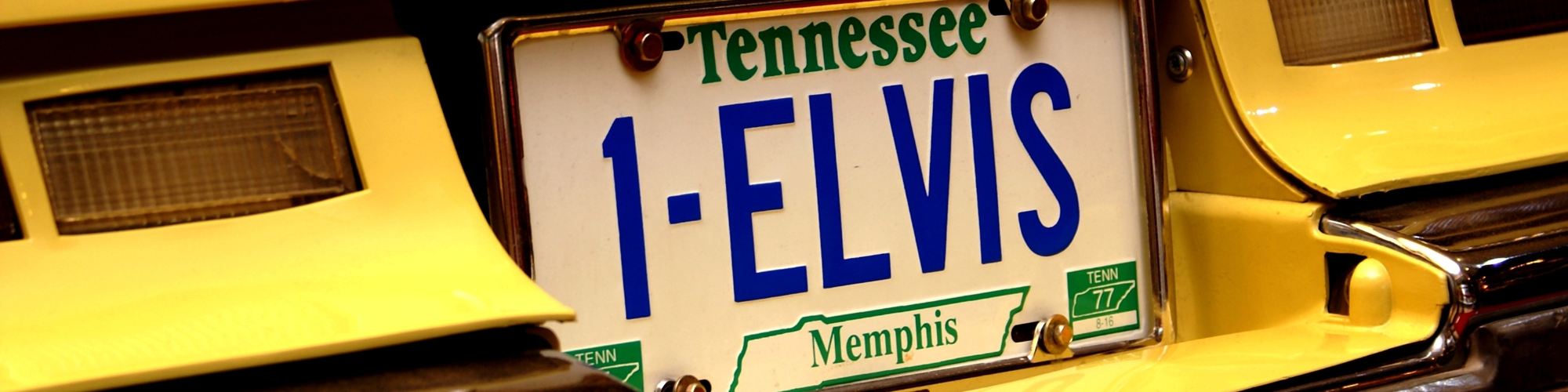 Amerika, Deep South & Texas Elvis Kentekenbord Banner