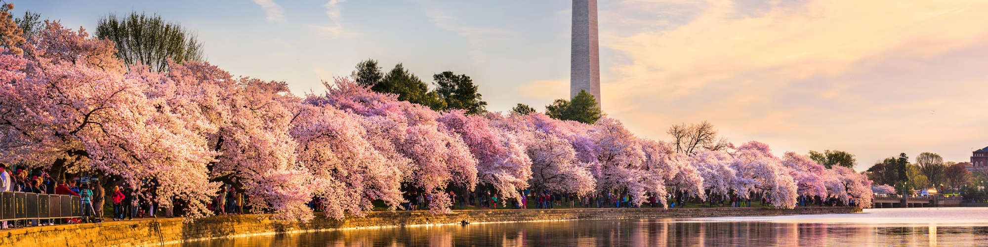 Amerika, Washington D.C. Banner