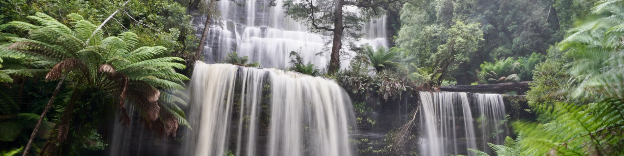 Australië, Russel Falls Banner