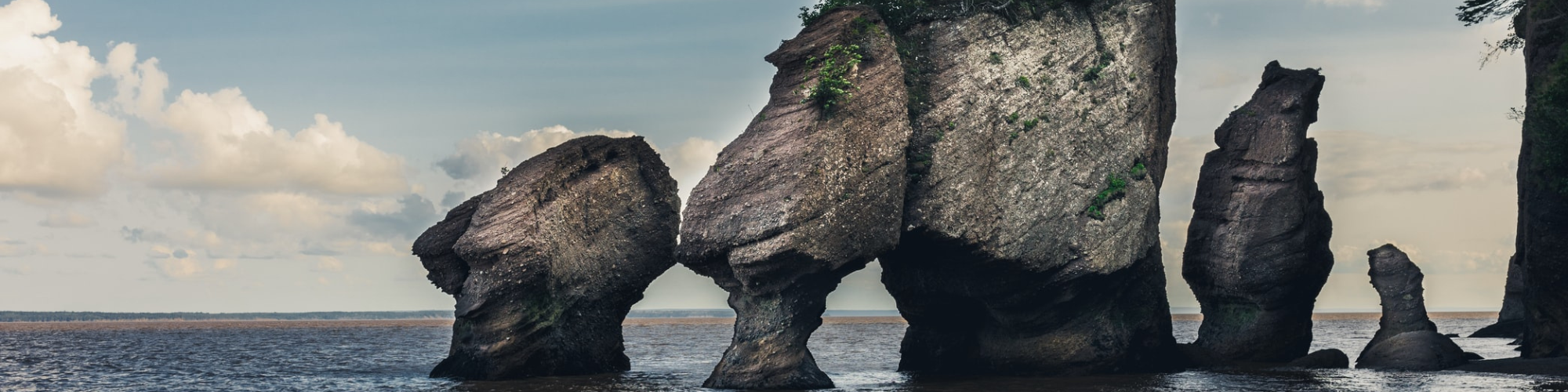 Canada, Bay Of Fundy Banner