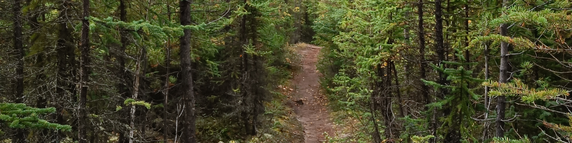 Canada, Trail Banner