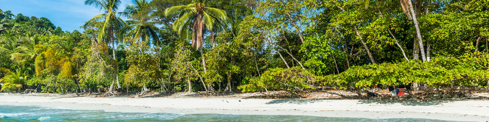 Costa Rica, Manuel Antonio Banner