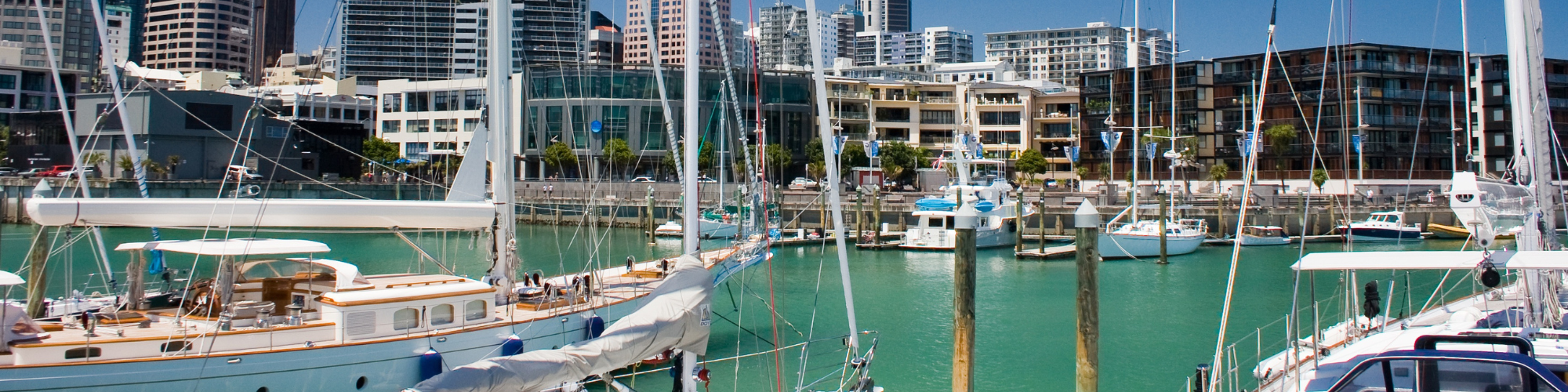Nieuw Zeeland, Auckland Banner
