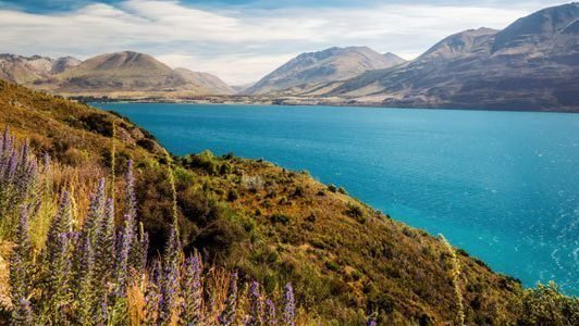 Queenstown-Nieuw-Zeeland-aspect-ratio-1000-563