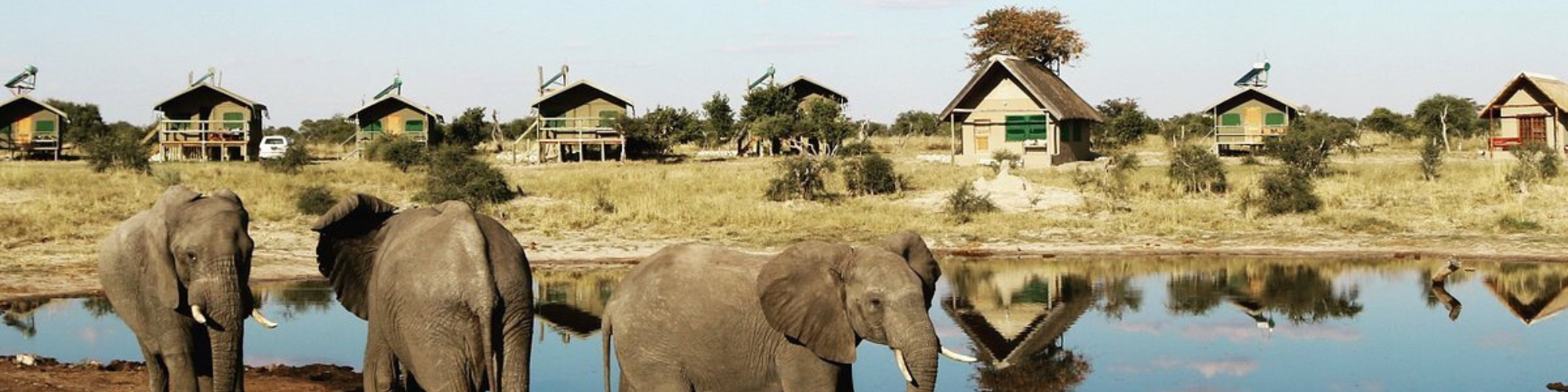 Botswana, Huizen En Olifanten Banner