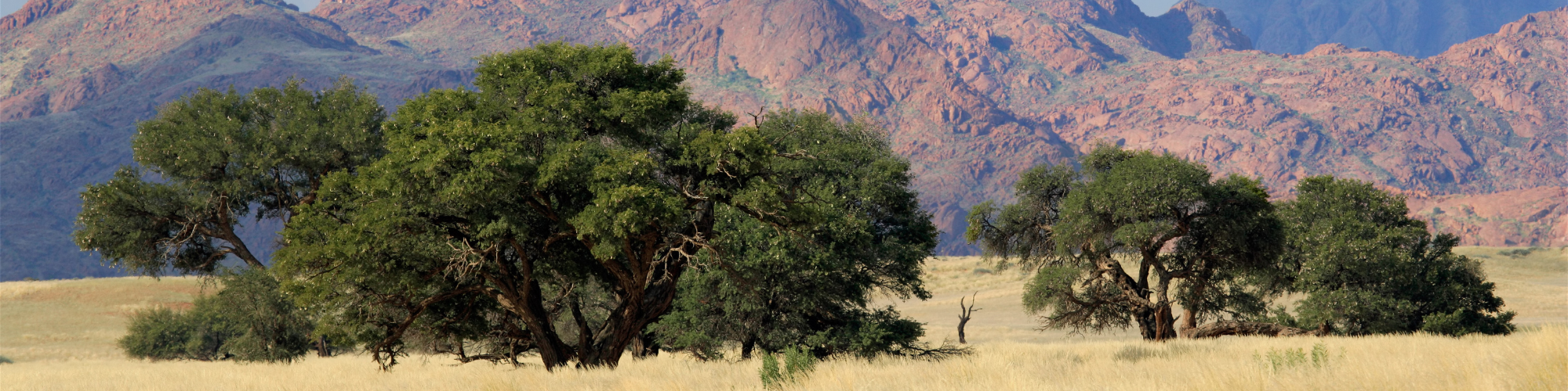 Namibië, Landschap Banner