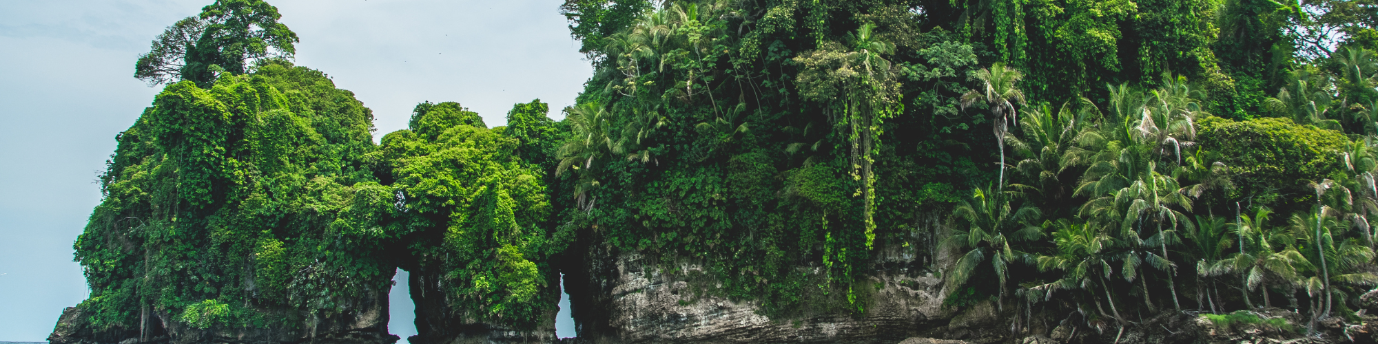Panama, Bocas Del Toro Banner