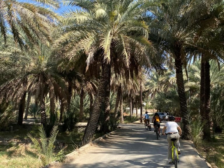 Excursies | WRC Reizen