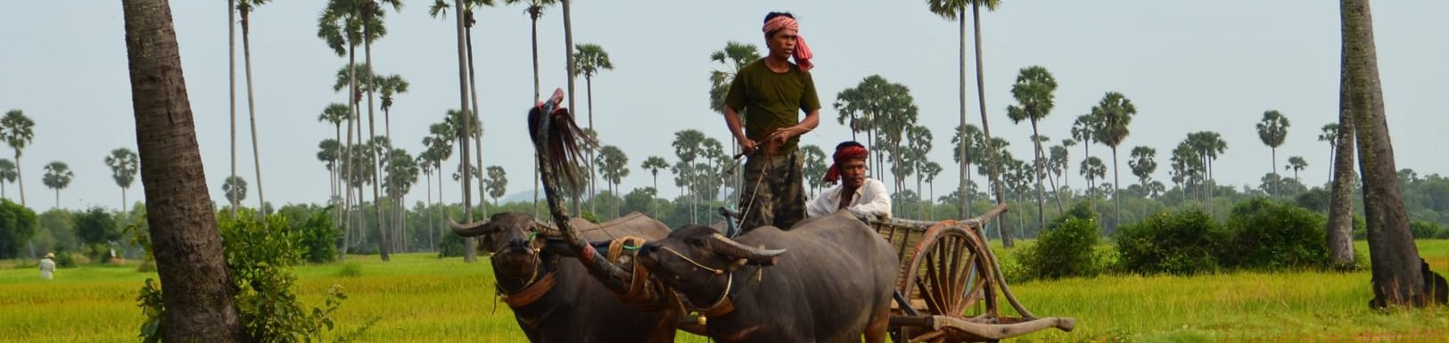 Cambodja Rondreis Karakteristiek Cambodja
