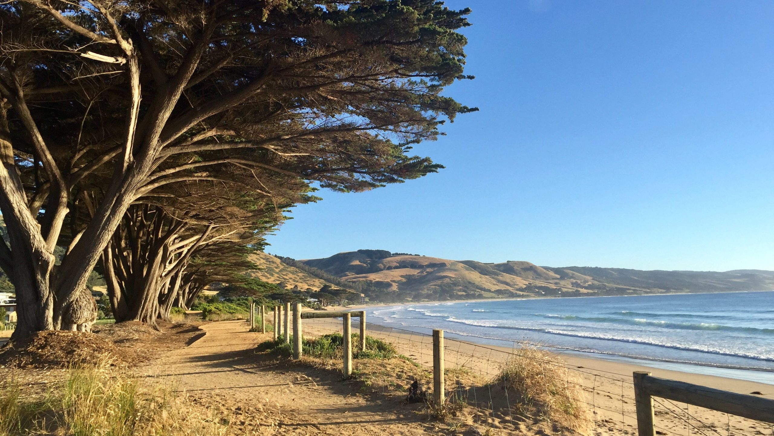 Apollo Bay Australië Kust