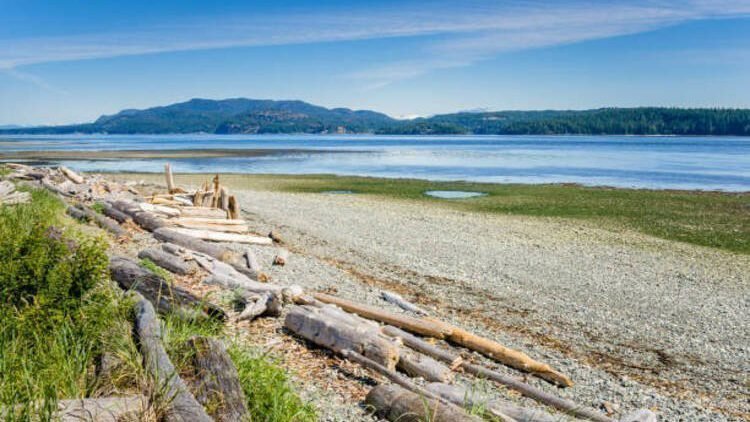 Canada Campbell River Pacific Rim Long Beach