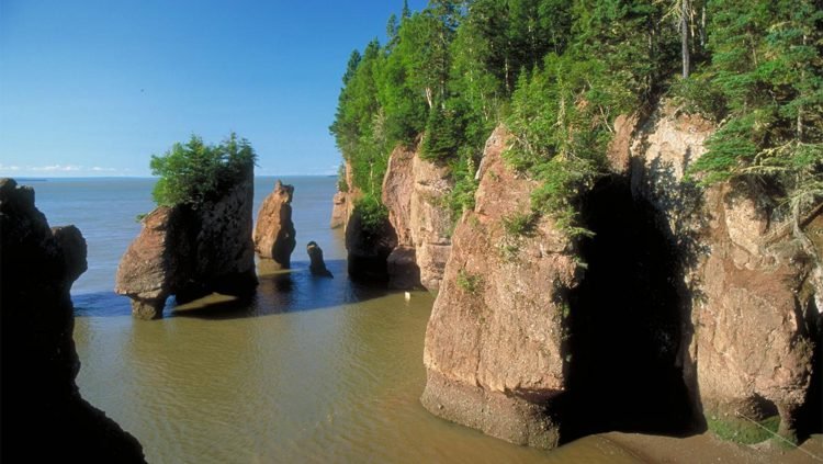 New Brunswick Hopewell Rocks | Rondreis Canada