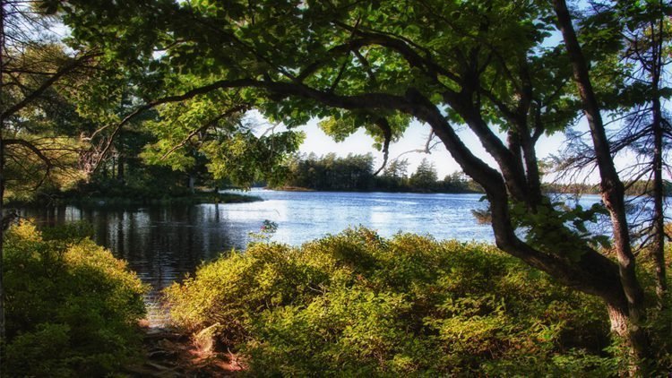 Kejimkujik NationalPark Nova Scotia | Rondreis Canada