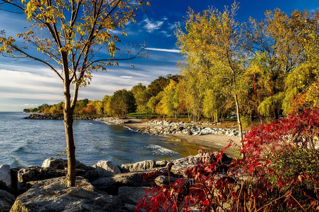 Canada, Ontario, Lake Ontario, Bomen Langs Het Meer