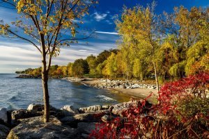 Canada, Ontario, Lake Ontario, Bomen Langs Het Meer