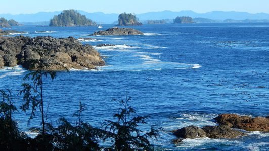 Vancouver Island W Pacific Trail BC | Rondreis Canada