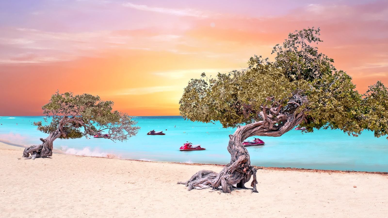 Rondreis Aruba, Eagle Beach, Bomen En Strand