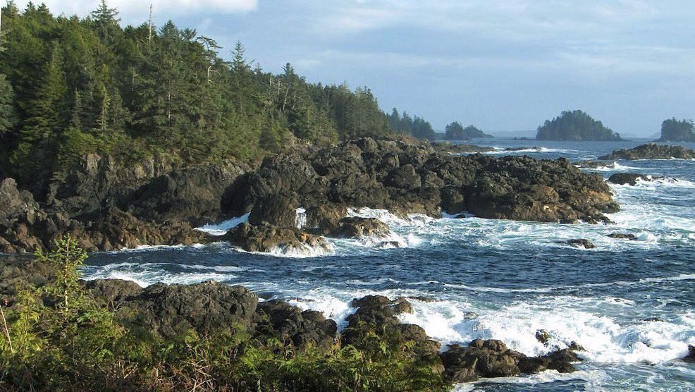 Pacific Rim National Park - camperreis West-Canada